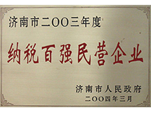 2003年度纳税百强民营企业